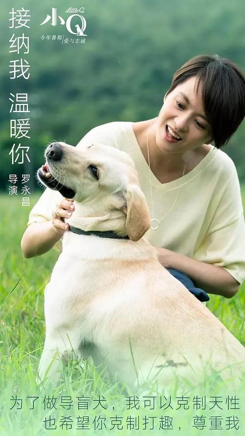 建设银行支票做假的